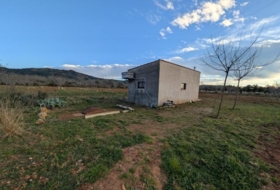 Foto 15