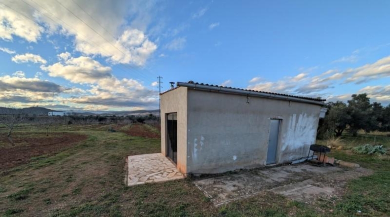 Tarragona - Ulldecona - 21539m2