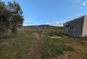 Foto 19