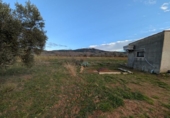 Land suitable for development for sale on España, Ulldecona, ref: TR174934 photo