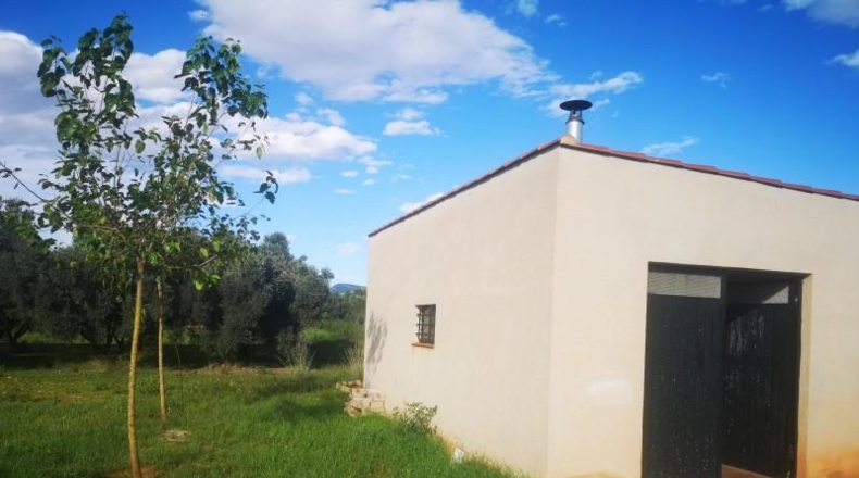 Tarragona - Ulldecona - 21539m2