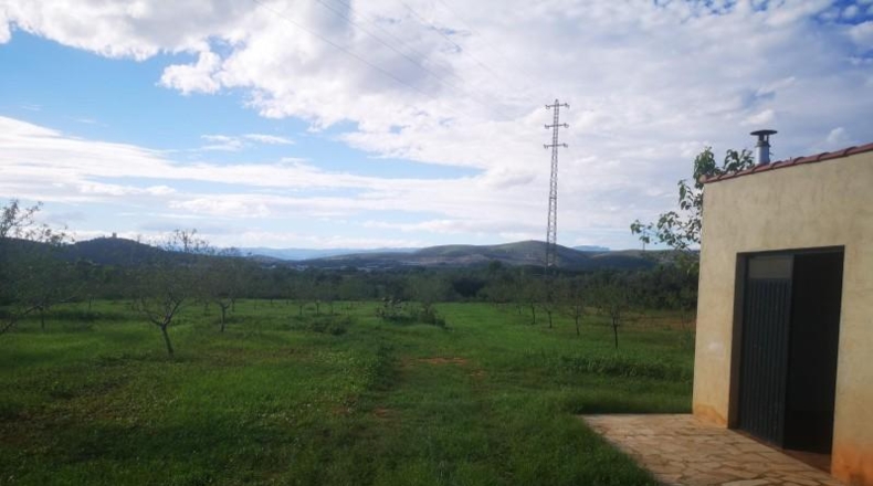 Tarragona - Ulldecona - 21539m2