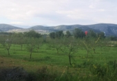Land suitable for development for sale on España, Ulldecona, ref: TR174934 photo