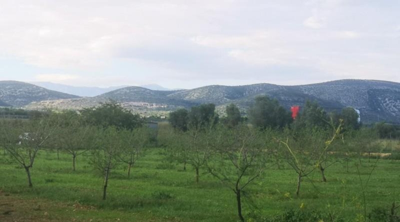 Tarragona - Ulldecona - 21539m2