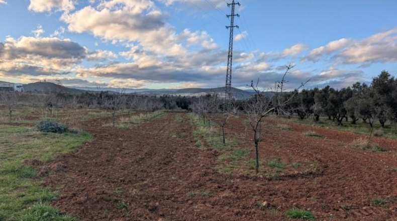 Tarragona - Ulldecona - 21539m2