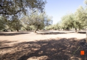 Terreno no urbanizable en venta en la España, la Galera, ref: TR178552 foto