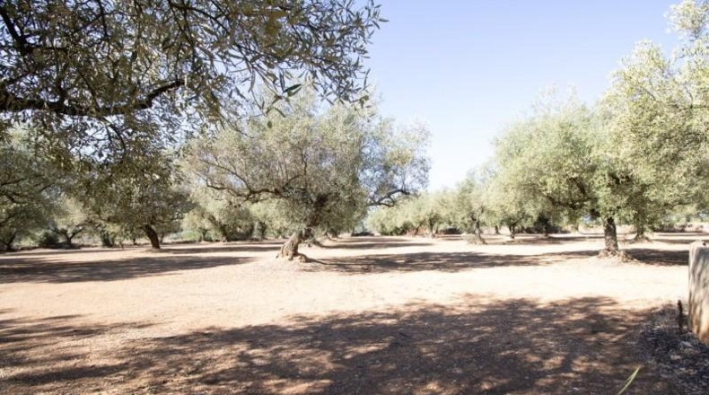 Tarragona - la Galera - 6774m2