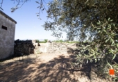 Terreno no urbanizable en venta en la España, la Galera, ref: TR178552 foto