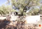 Terreno no urbanizable en venta en la España, la Galera, ref: TR178552 foto