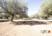 Terreno no urbanizable en venta en la España, la Galera, ref: TR178552 foto