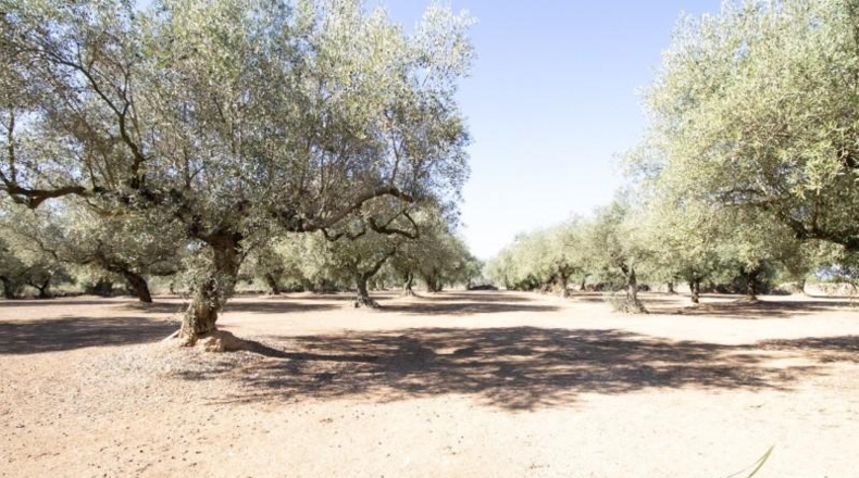 Tarragona - la Galera - 6774m2