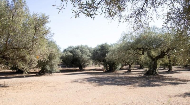 Tarragona - la Galera - 6774m2