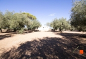 Terreno no urbanizable en venta en la España, la Galera, ref: TR178552 foto