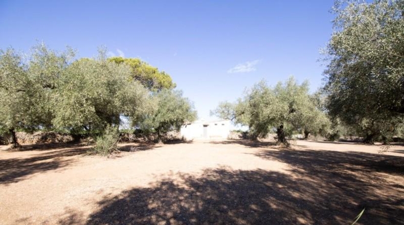Tarragona - la Galera - 6774m2