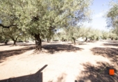 Terreno no urbanizable en venta en la España, la Galera, ref: TR178552 foto