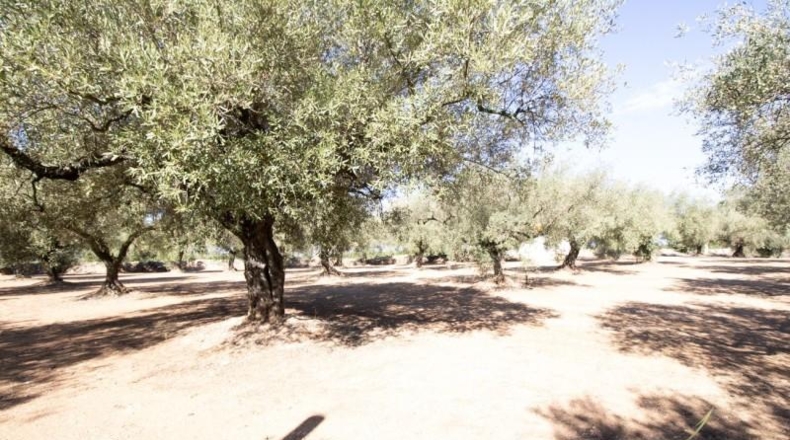 Tarragona - la Galera - 6774m2