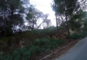 Parcel·la urbanitzable en venda a la España, Múrcia, ref.: TR305972 foto