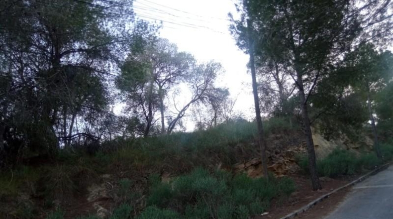 Murcia - Múrcia - 2213m2