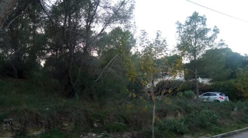 Murcia - Múrcia - 2213m2