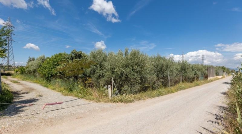 Granada - Cúllar Vega - 3698m2
