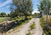 Non-developable land for sale on España, Cúllar Vega, ref: TR130388 photo