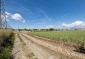 Non-developable land for sale on España, Cúllar Vega, ref: TR130388 photo