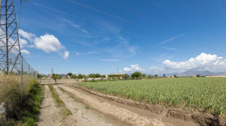 Granada - Cúllar Vega - 3698m2