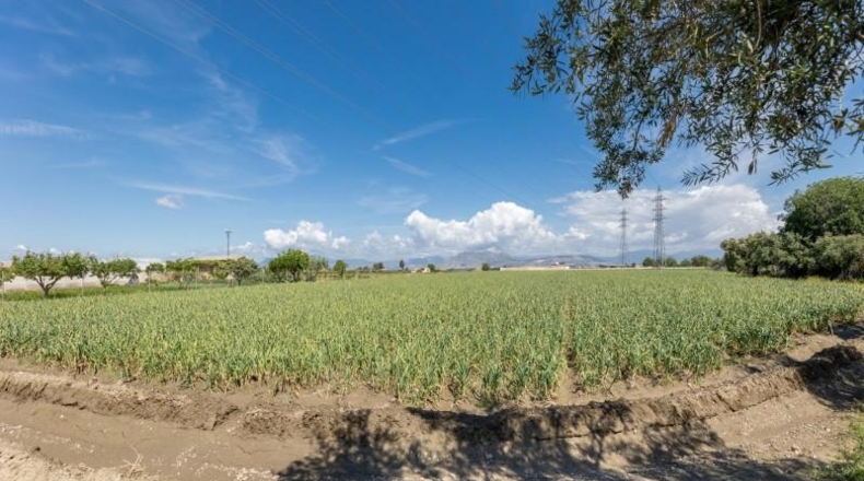 Granada - Cúllar Vega - 3698m2