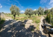 Non-developable land for sale on España, Cúllar Vega, ref: TR130388 photo