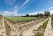 Non-developable land for sale on España, Cúllar Vega, ref: TR130388 photo