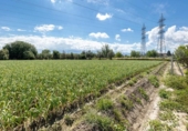 Non-developable land for sale on España, Cúllar Vega, ref: TR130388 photo