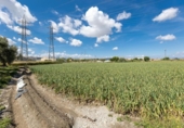 Non-developable land for sale on España, Cúllar Vega, ref: TR130388 photo