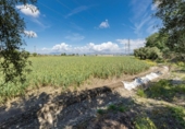 Non-developable land for sale on España, Cúllar Vega, ref: TR130388 photo