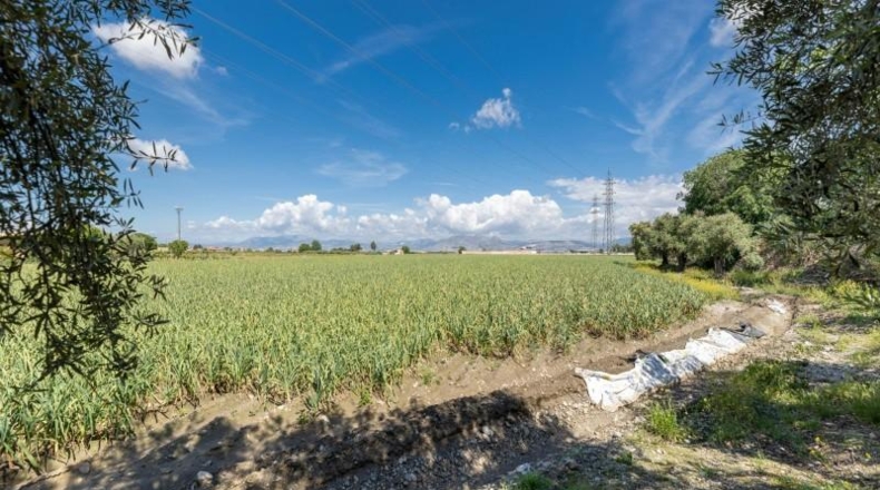 Granada - Cúllar Vega - 3698m2