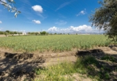 Non-developable land for sale on España, Cúllar Vega, ref: TR130388 photo