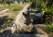 Non-developable land for sale on España, Cúllar Vega, ref: TR130388 photo