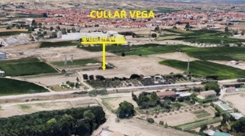 Granada - Cúllar Vega - 3698m2