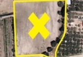 Non-developable land for sale on España, Cúllar Vega, ref: TR130388 photo