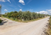 Non-developable land for sale on España, Cúllar Vega, ref: TR238345 photo