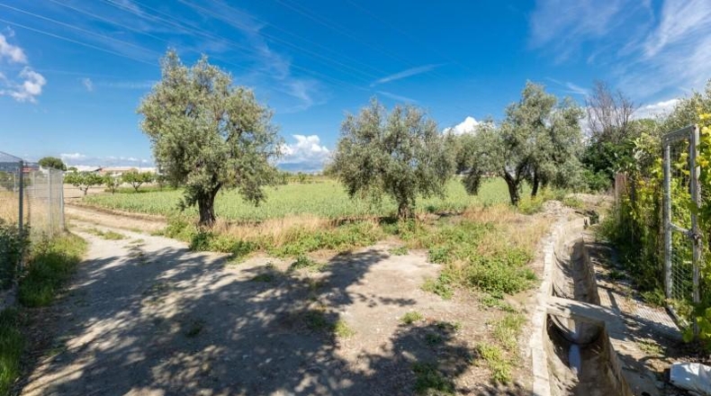 Granada - Cúllar Vega - 3698m2