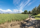 Non-developable land for sale on España, Cúllar Vega, ref: TR238345 photo