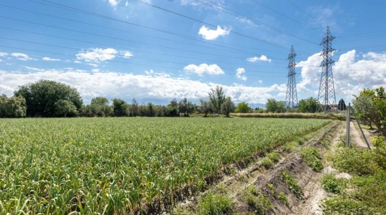 Granada - Cúllar Vega - 3698m2