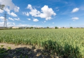 Non-developable land for sale on España, Cúllar Vega, ref: TR238345 photo