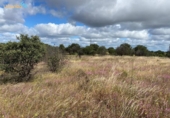 Non-developable land for sale on España, Badajoz, ref: TR130649 photo