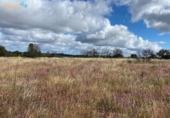 Non-developable land for sale on España, Badajoz, ref: TR130649 photo