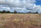 Non-developable land for sale on España, Badajoz, ref: TR130649 photo
