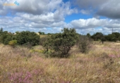 Non-developable land for sale on España, Badajoz, ref: TR130649 photo