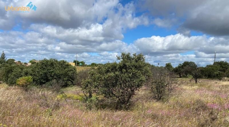 Badajoz - Badajoz - 5000m2