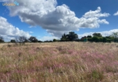 Non-developable land for sale on España, Badajoz, ref: TR130649 photo