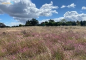 Non-developable land for sale on España, Badajoz, ref: TR130649 photo